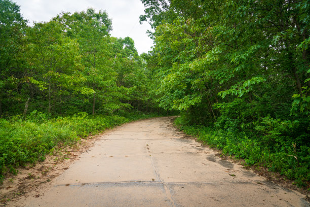 印第安纳沙丘国家公园的小路图片下载