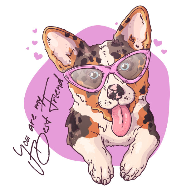 矢量画插图。一只可爱的柯基犬的肖像。图片下载