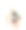 柔韧性可爱的小女孩儿童体操运动员做杂技运动孤立在一个白色的背景图片下载