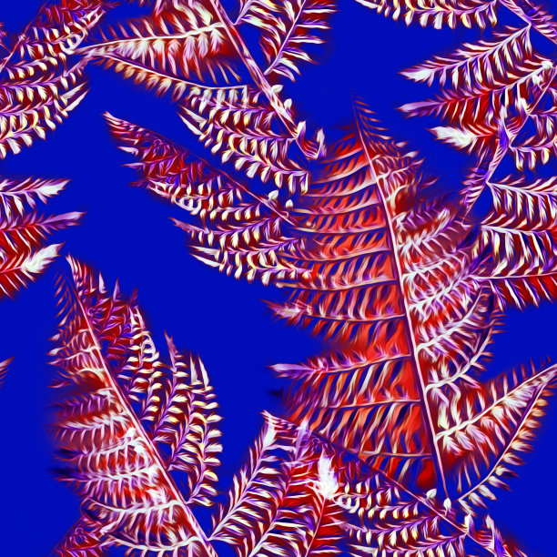 蕨花插图，无缝图案。图片下载