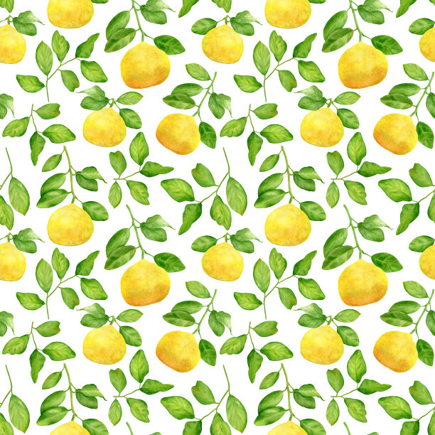 水彩黄色柠檬枝和叶无缝图案。手绘柑桔植物孤立在白色背景。植物插图设计和装饰，卡片，包装，纺织品图片下载