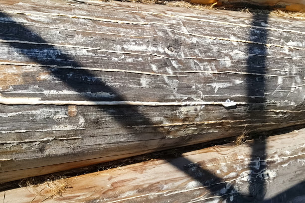 用硅酮密封胶密封棒的裂缝。图片下载