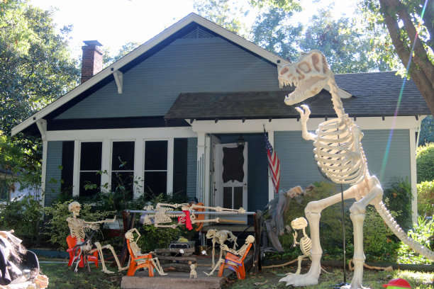 工匠平房装饰有大万圣节骷髅展示图片下载