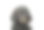 一个可爱的普米的肖像向下看奇怪地孤立在白色的背景图片下载