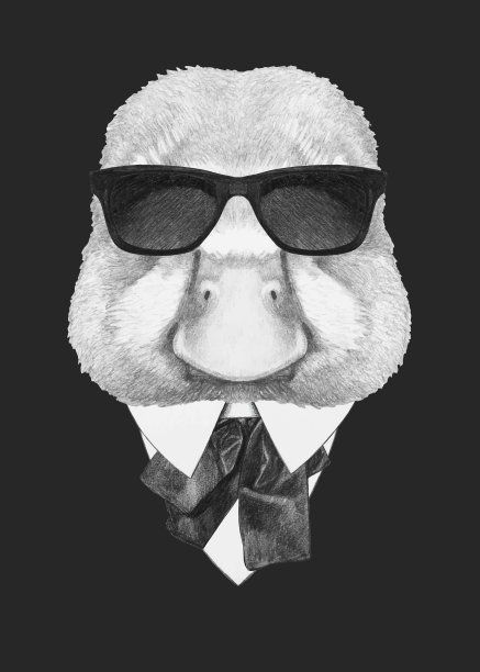 鸭子穿西装的肖像。手绘插图。向量孤立的元素。图片下载