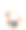 柔韧性可爱的小女孩儿童体操运动员做杂技运动孤立在一个白色的背景图片下载