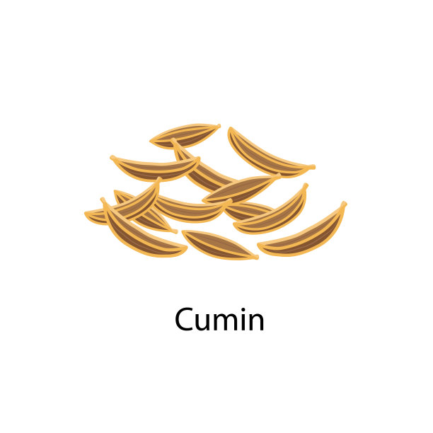 孜然种子香料矢量插图在平面设计孤立在白色背景。图片下载