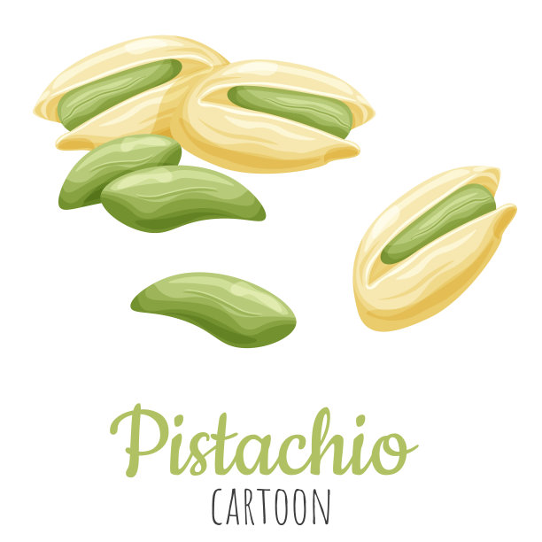 开心果卡通矢量插图，孤立近距离逼真的彩色坚果。图片下载