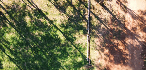 无人机鸟瞰图的森林和土路图片下载