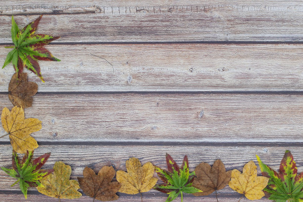 美丽的秋天装饰与树叶在木制的背景图片下载