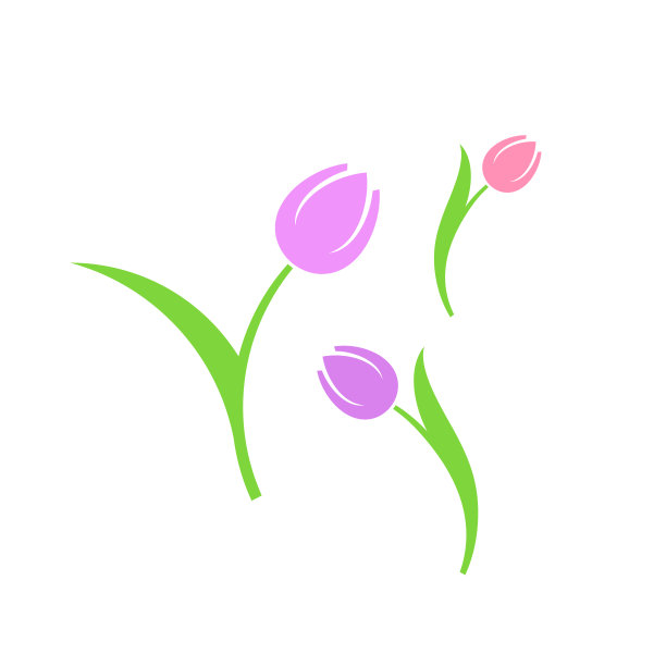 郁金香。春天的花朵图片下载