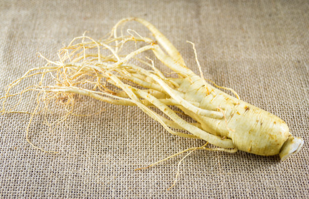 新鲜的韩国人参在粗麻布背景图片下载