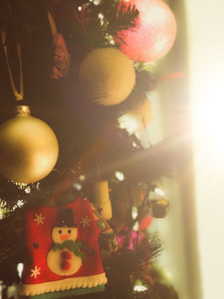 透过窗户被晨光照亮的圣诞树图片下载