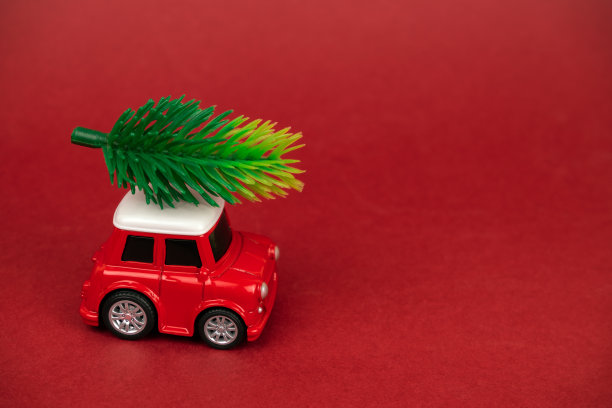 可爱的红色小车，车顶插着常青树枝图片下载