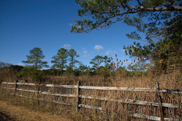 湿地上的乡村分割围栏图片下载