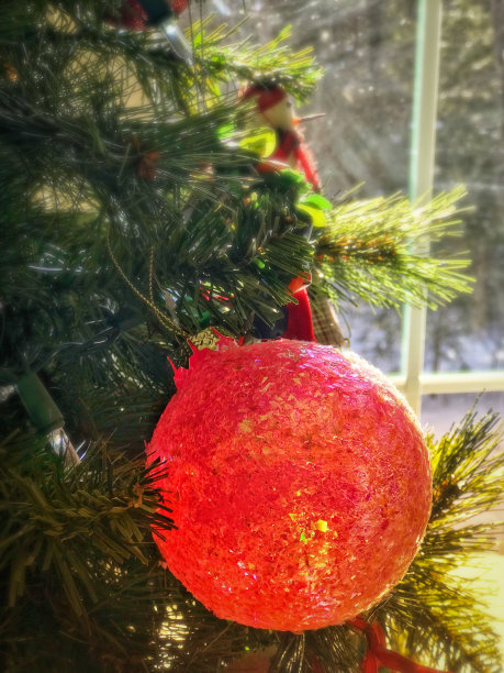 圣诞树上闪闪发光的大球状装饰品图片下载