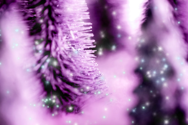 森林里的迷你雪圣诞树。散景灯的背景图片下载