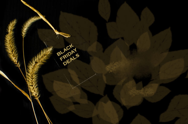 11月的黑色星期五在农业上销售图片下载