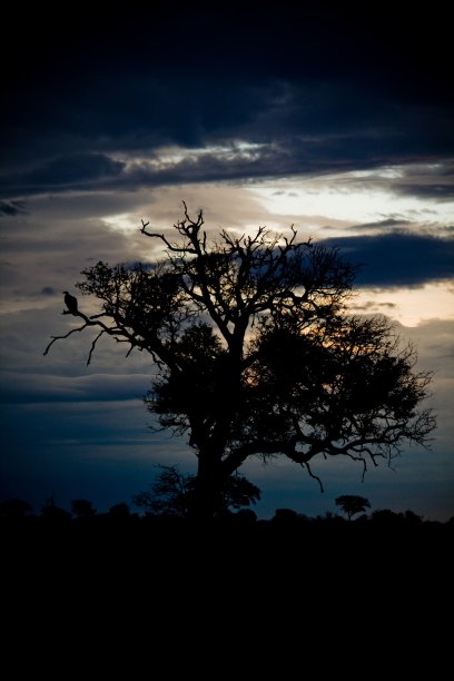 克鲁格国家公园的夕阳图片下载