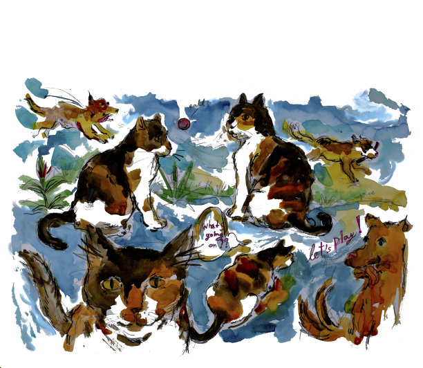 快乐友好的宠物图片下载