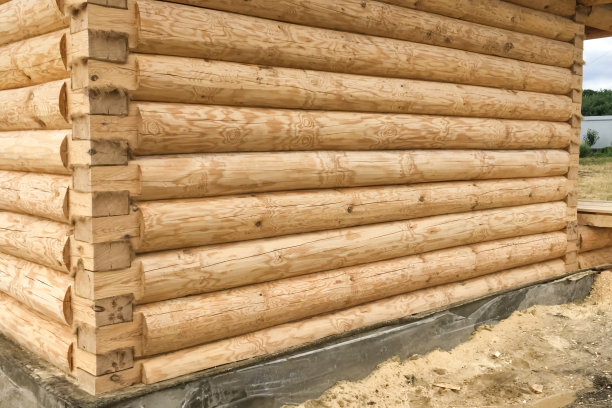 用木头建造的木屋，木屋。图片下载