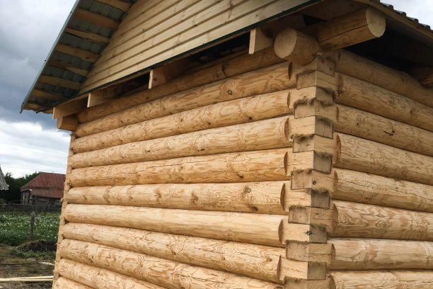 用木头建造的木屋，木屋。图片下载