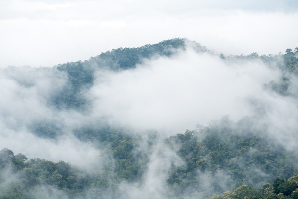 山上的风景雾蒙蒙的图片下载