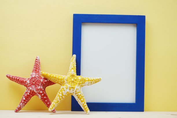 相框空间复制模拟和海星装饰图片下载