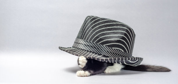 黑白相间的小猫从条纹帽子下面伸出爪子图片下载