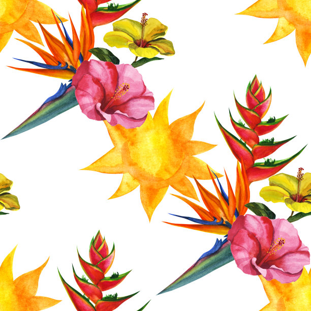 水彩太阳和热带异域无缝图案。手绘花卉插画图片下载