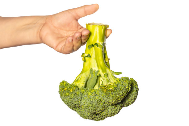 手握花椰菜在白色的背景。图片下载