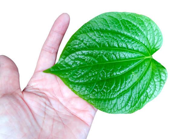 手与卓别林离开图片下载