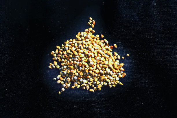 小米颗粒黑色背景，珍珠颗粒黑色背景，巴吉拉图片下载