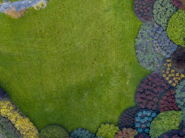 有地被植物的草坪和花坛图片下载