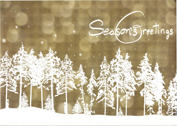 圣诞森林黄金闪光图片下载