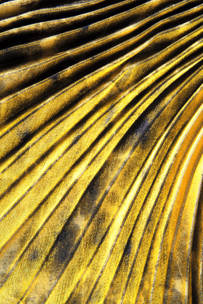 金色织物纹理背景图片下载