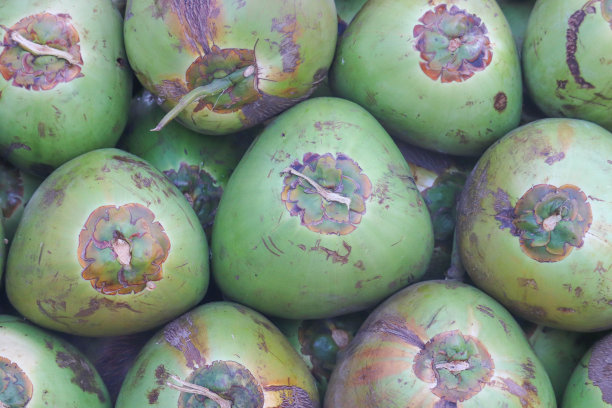 近距离观察天然绿色椰汁饮料图片下载