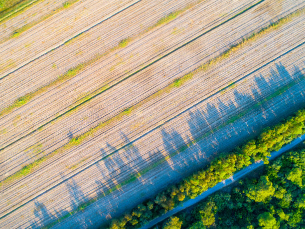 用四轴飞行器拍摄的农田照片图片下载