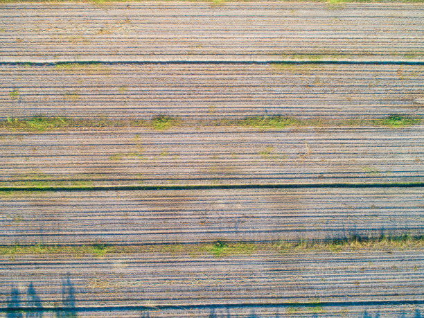 用四轴飞行器拍摄的农田照片图片下载