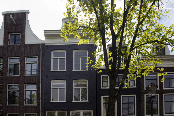 阿姆斯特丹的历史、传统和典型建筑展示了荷兰的建筑风格和一棵树。这是一个阳光明媚的夏日。图片下载