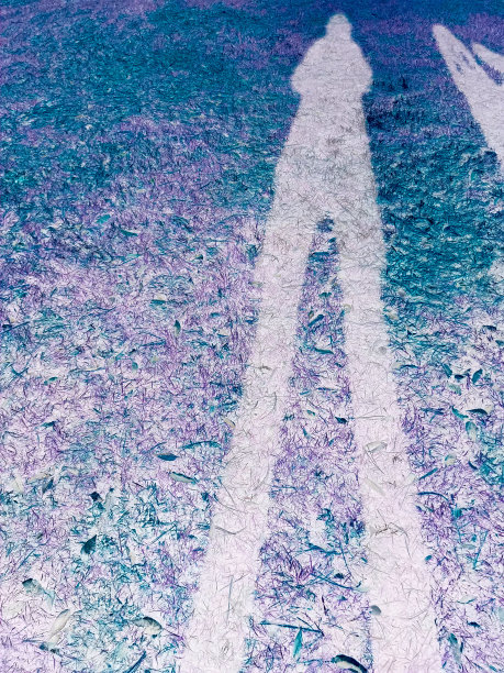 倒的影子图片下载