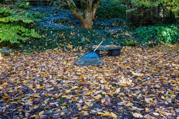 秋天的颜色图片下载