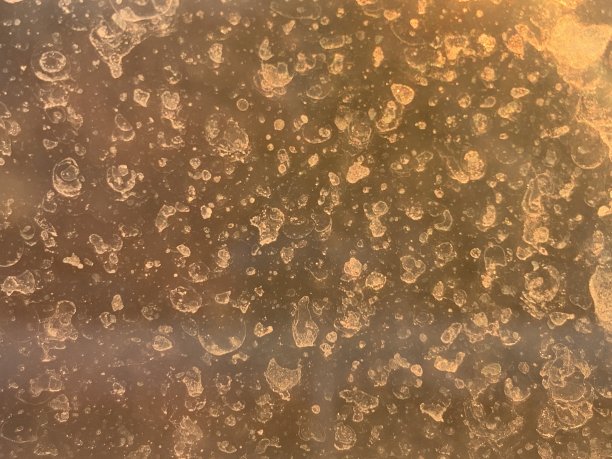 肮脏的玻璃图片下载