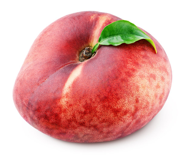 叶孤立在白色上的中国圆桃图片下载