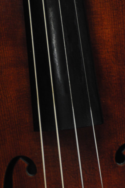 拉近小提琴上的弦图片下载