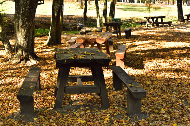 秋天公园里的野餐桌和长凳图片下载
