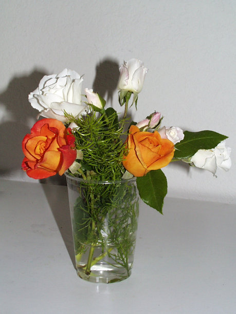 玫瑰花束图片下载