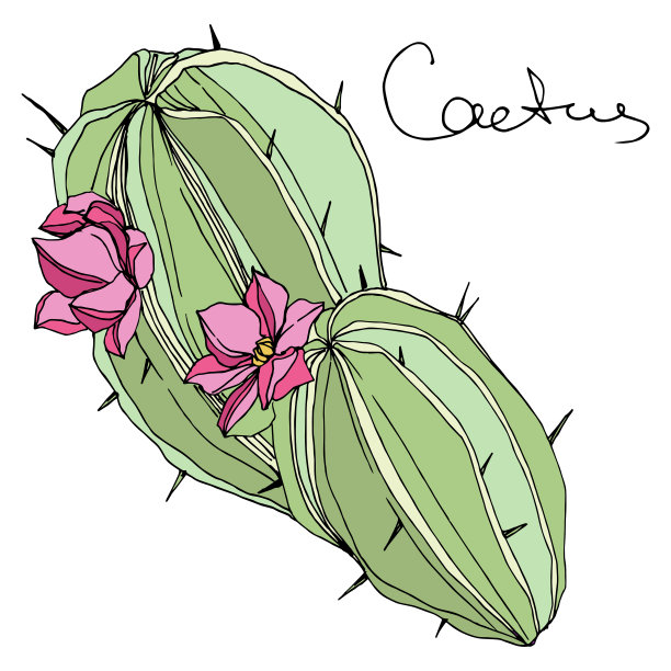 矢仙人掌花植物花。青、蓝雕刻水墨艺术。孤立的仙人掌插图元素。图片下载