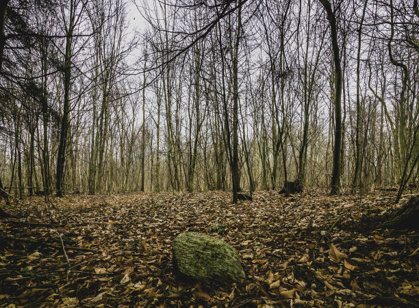 单身摇滚在和秋日落幕图片下载
