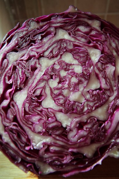 红白菜是健康食品图片下载